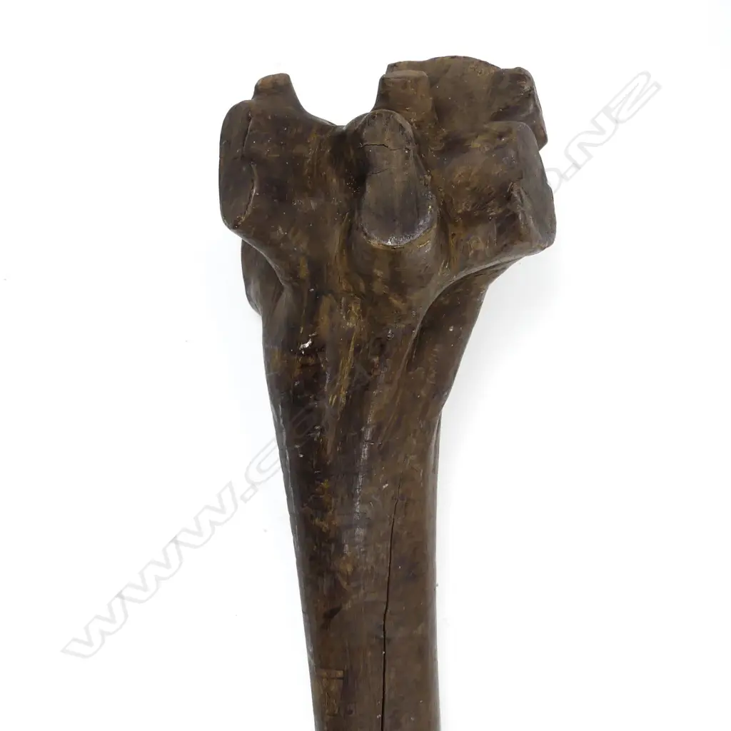 An old Polynesian root-stock club Image 1++