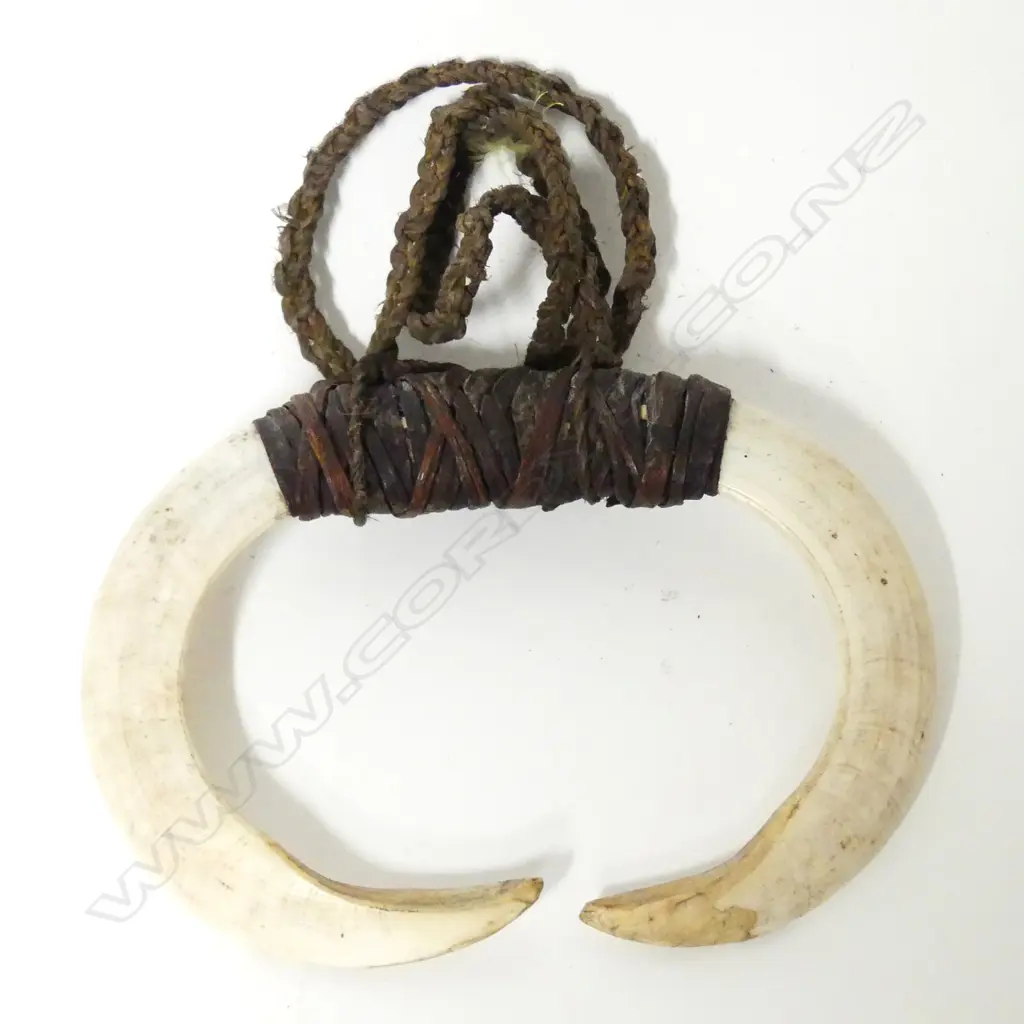 A PNG boars’ tusk necklace Image 1++