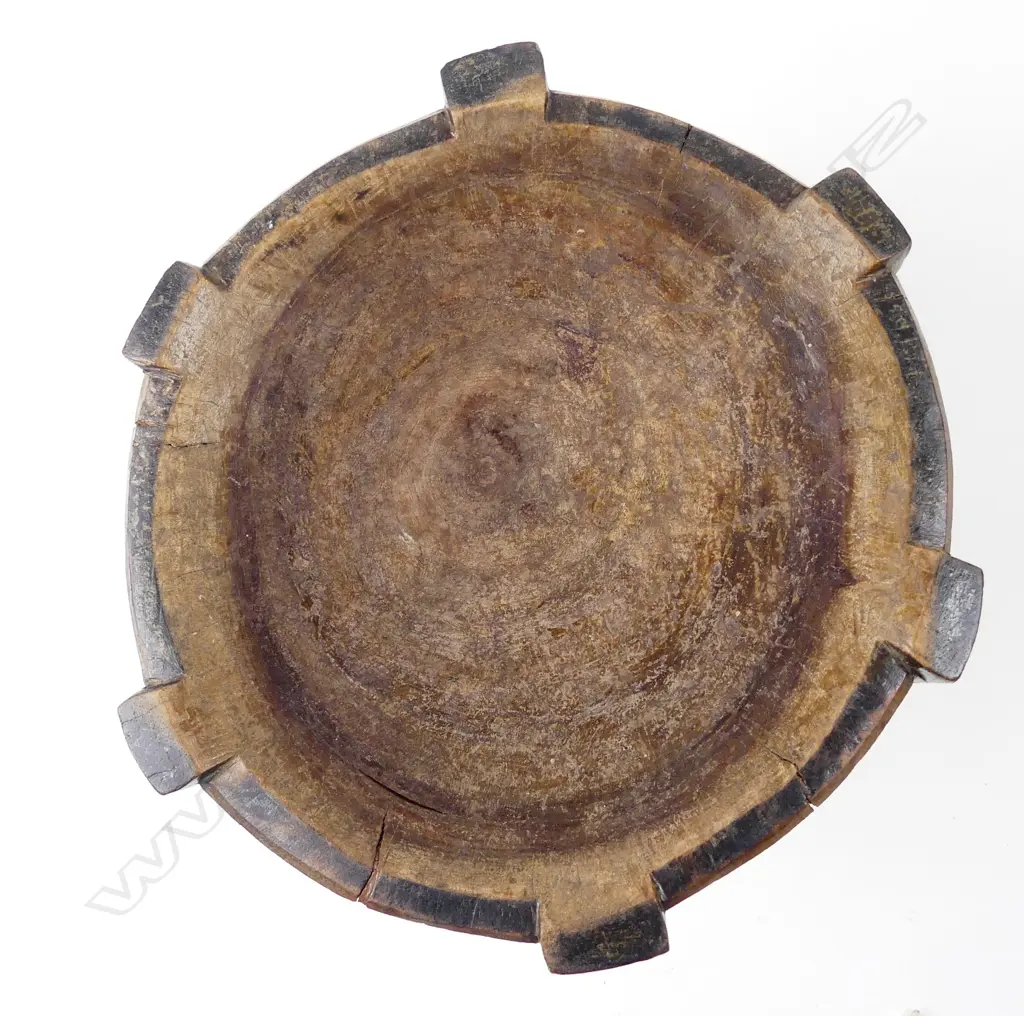 A Tanganyikan footstool Image 1++