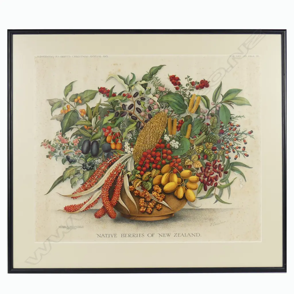 A chromolithograph 'Native Berries of New Zealand' Image 1++