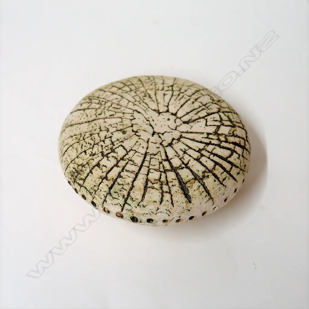 Len Castle Sea Secret form Image 1++