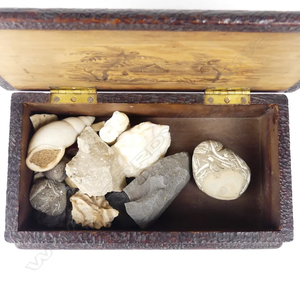 A kauri pokerwork trinket box Image 1++