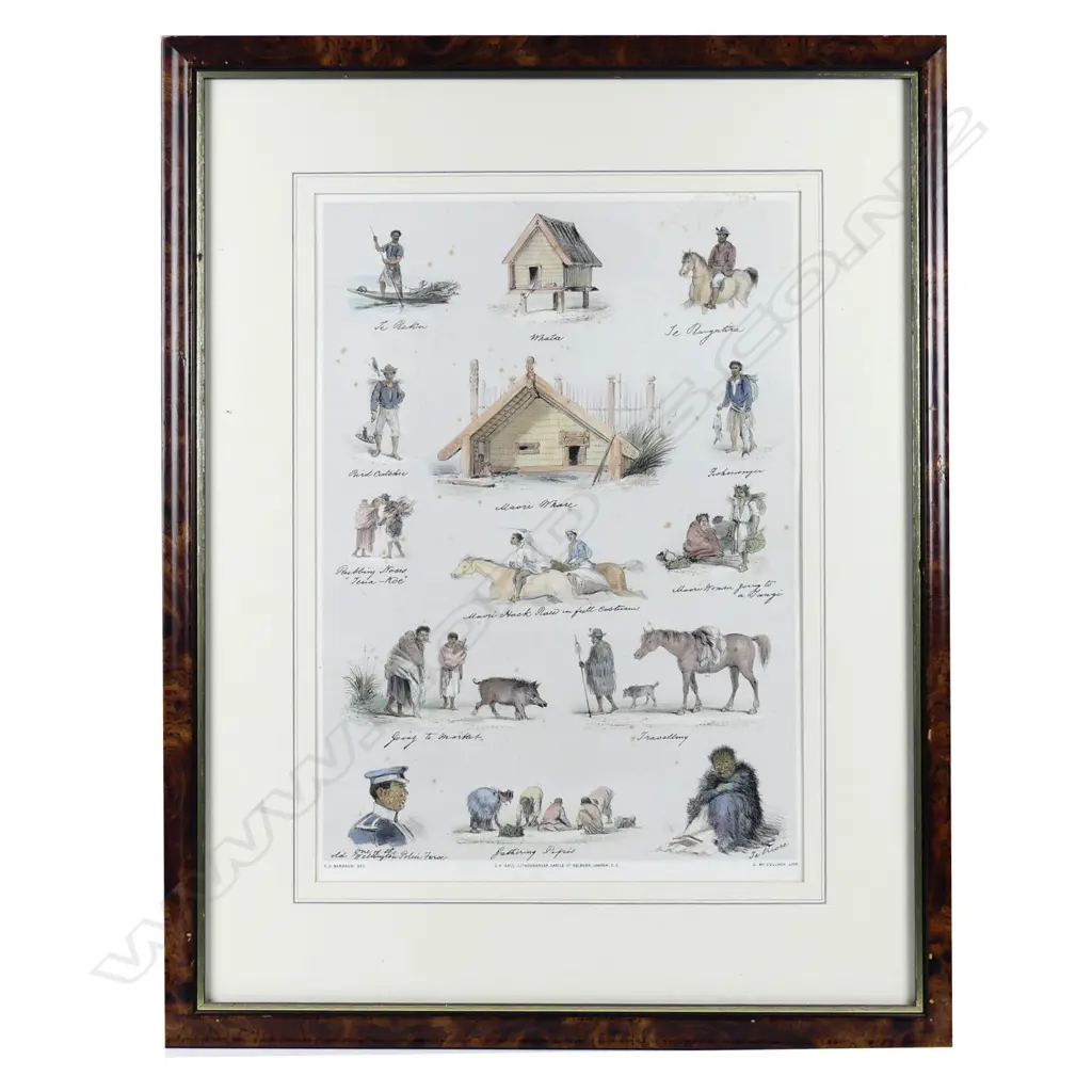 A hand coloured litho from C.D. Barraud's New Zealand Graphic and Descriptive Image 1++