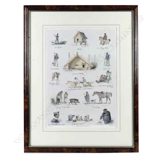 A hand coloured litho from C.D. Barraud's New Zealand Graphic and Descriptive