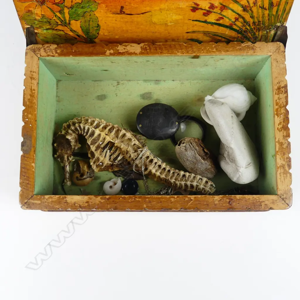 A Jane Brenkley Maori carved wood trinket box Image 1++