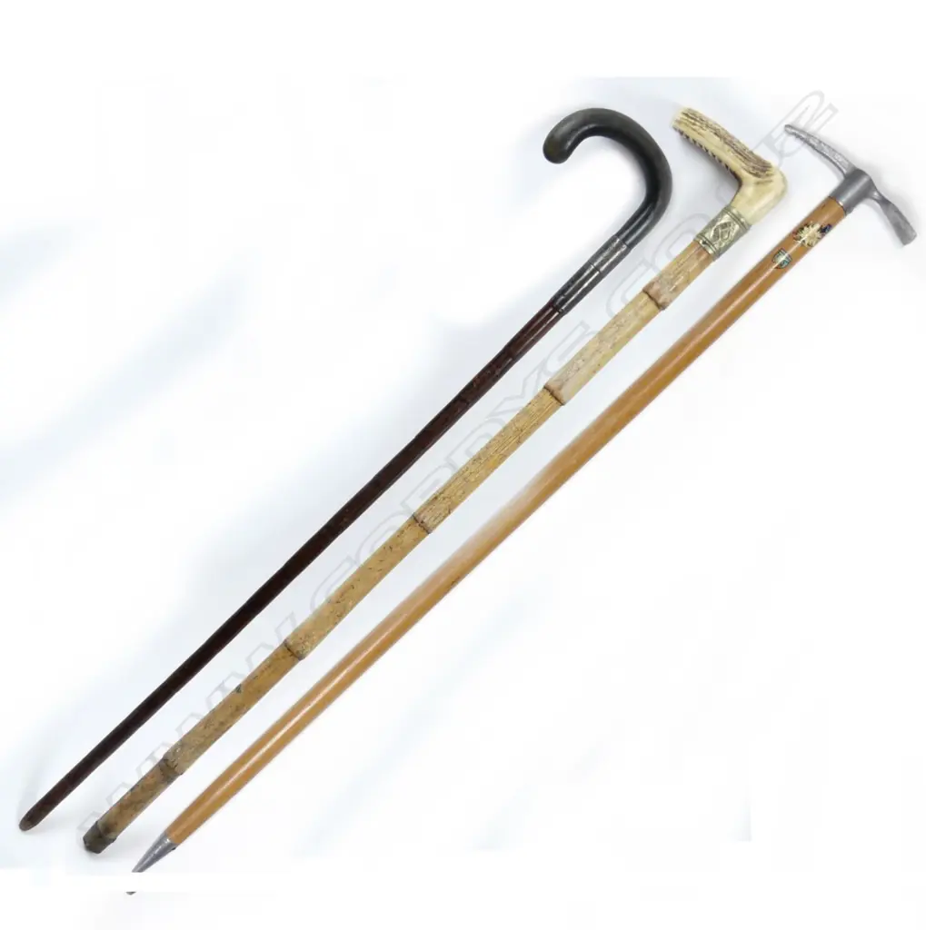 Four vintage walking sticks Image 1++