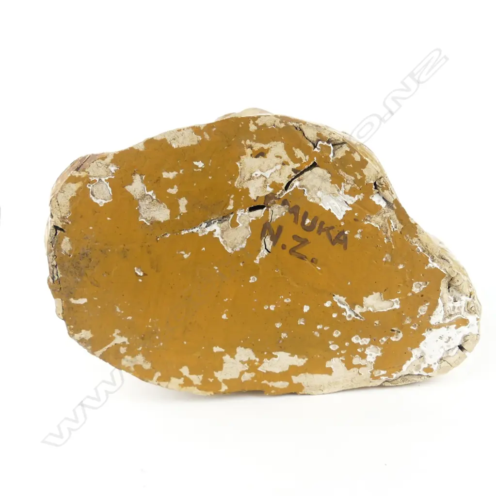 A rare vintage pottery bust of a Maori wahine Image 1++