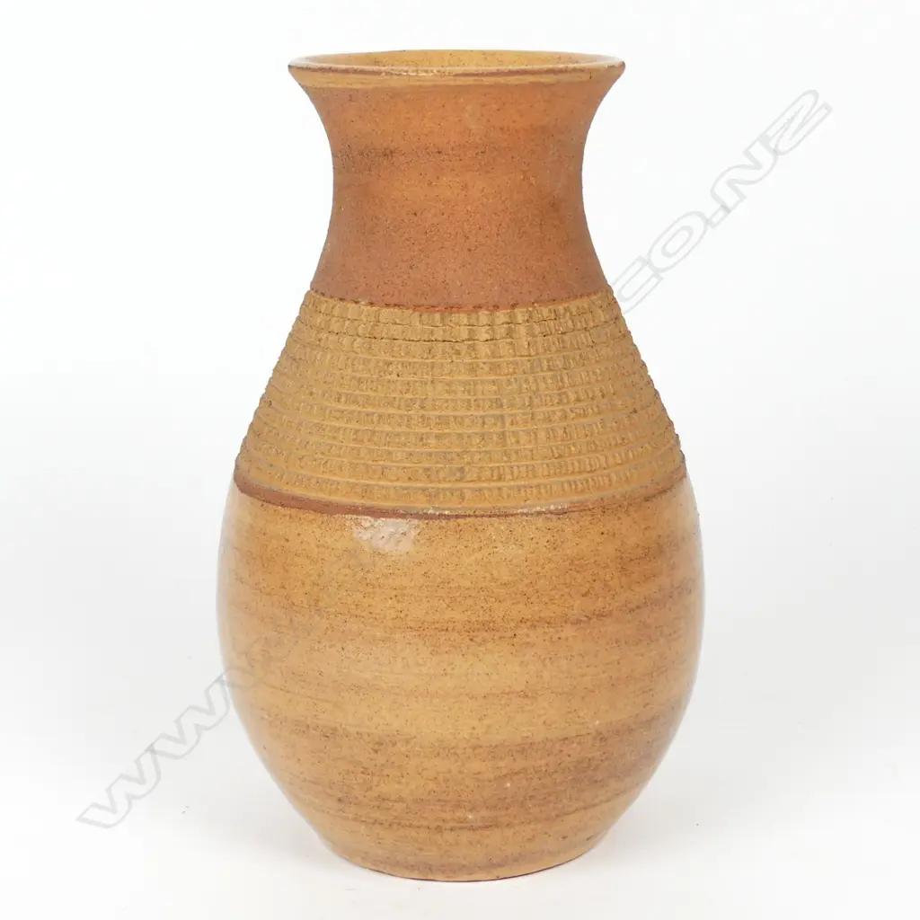 A Crown Lynn Arthur Rhodes vase Image 1++