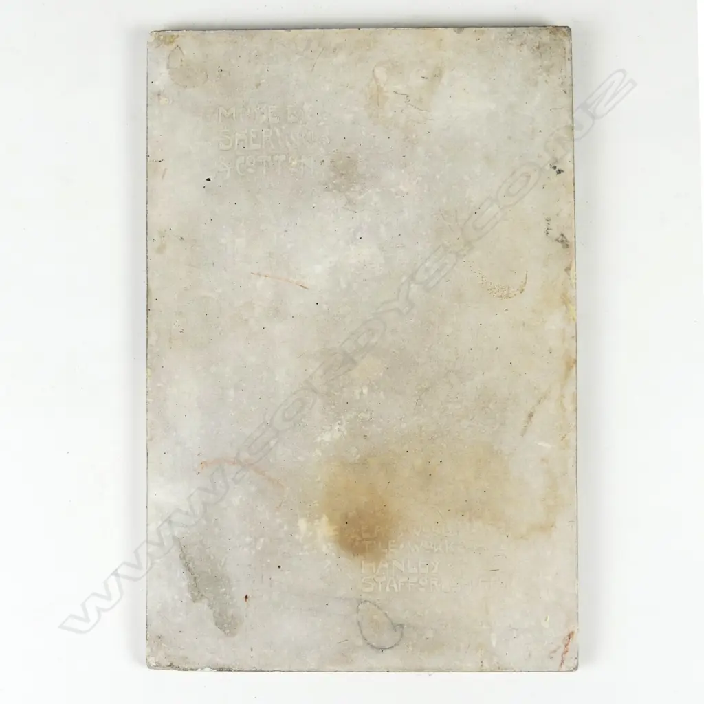 A c.1900 Sherwin & Cotton Maori portrait tile of the Ngatimaru Chief Image 1++