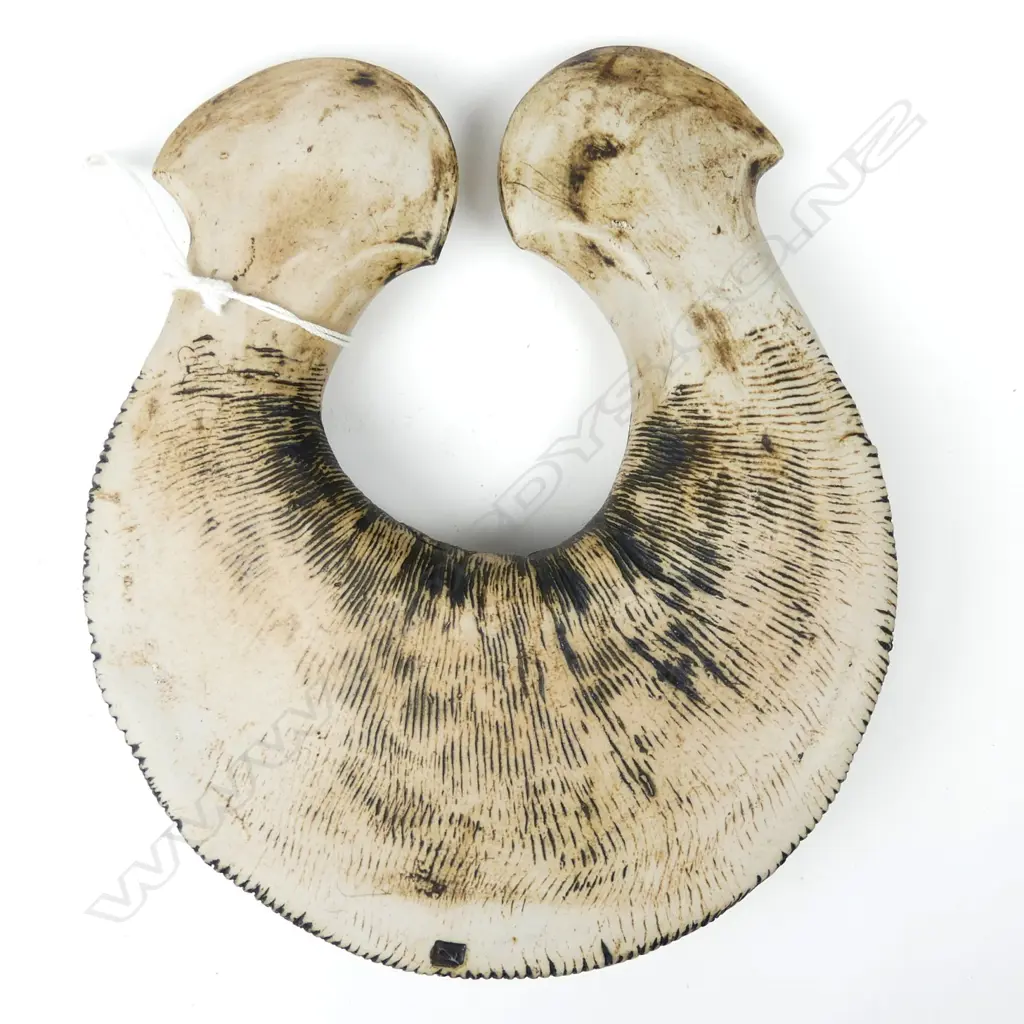 Chester Nealie hei matau wall ornament Image 1++