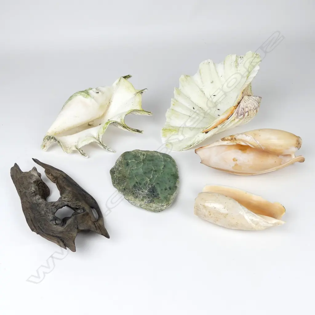 A piece of river worn pounamu Image 1++