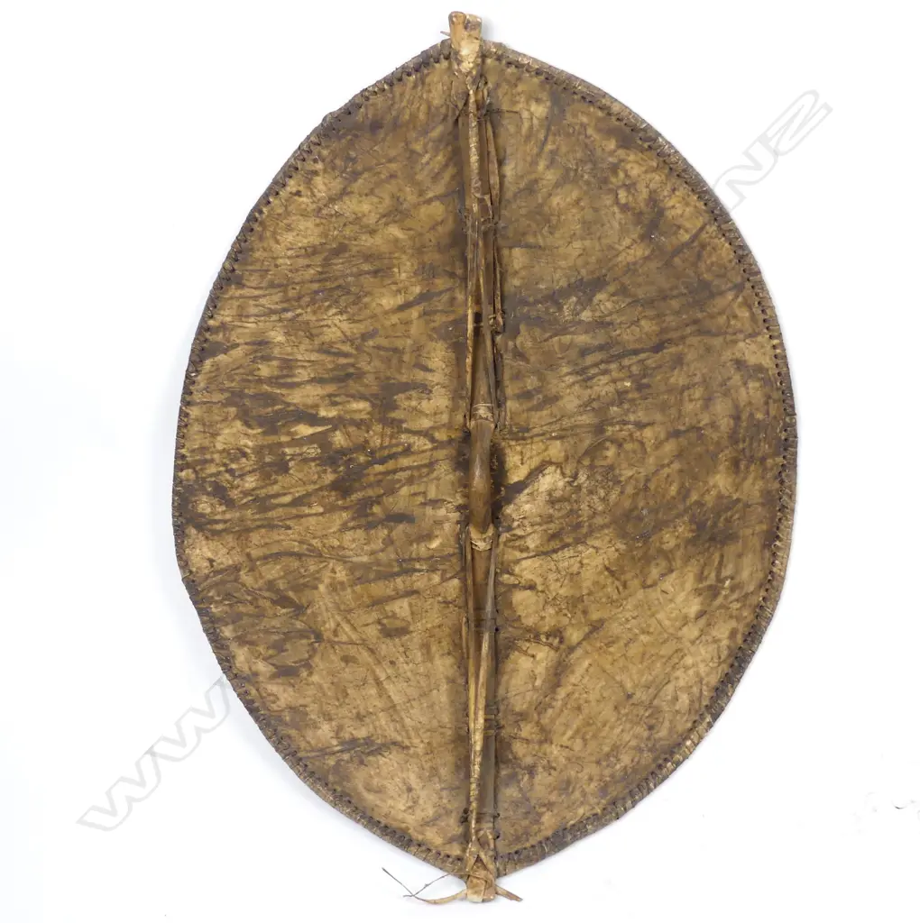A vintage Kenyan Maasai tribal shield Image 1++