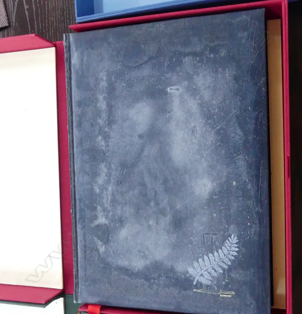 The book "Men in White" by Don Neely and Richard King Image 1++