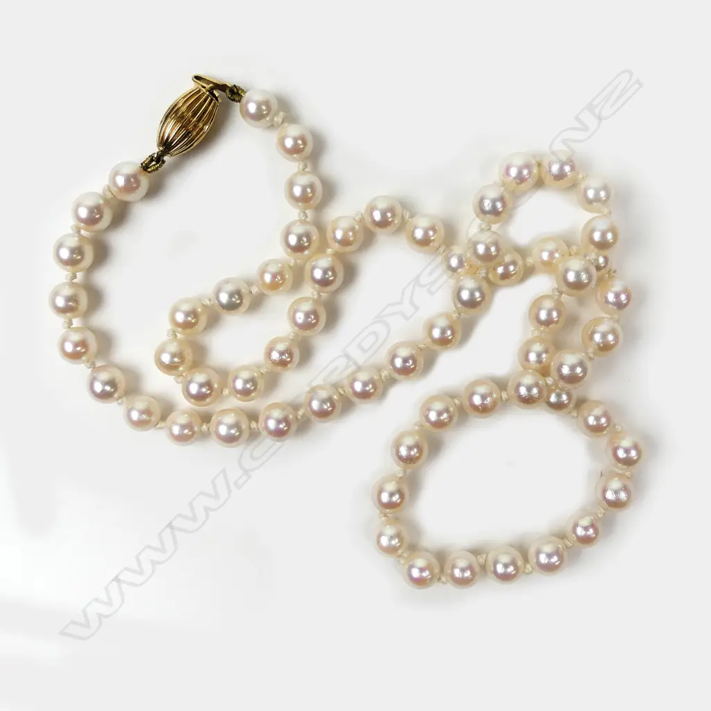 A cultured pearl necklace Image 1++