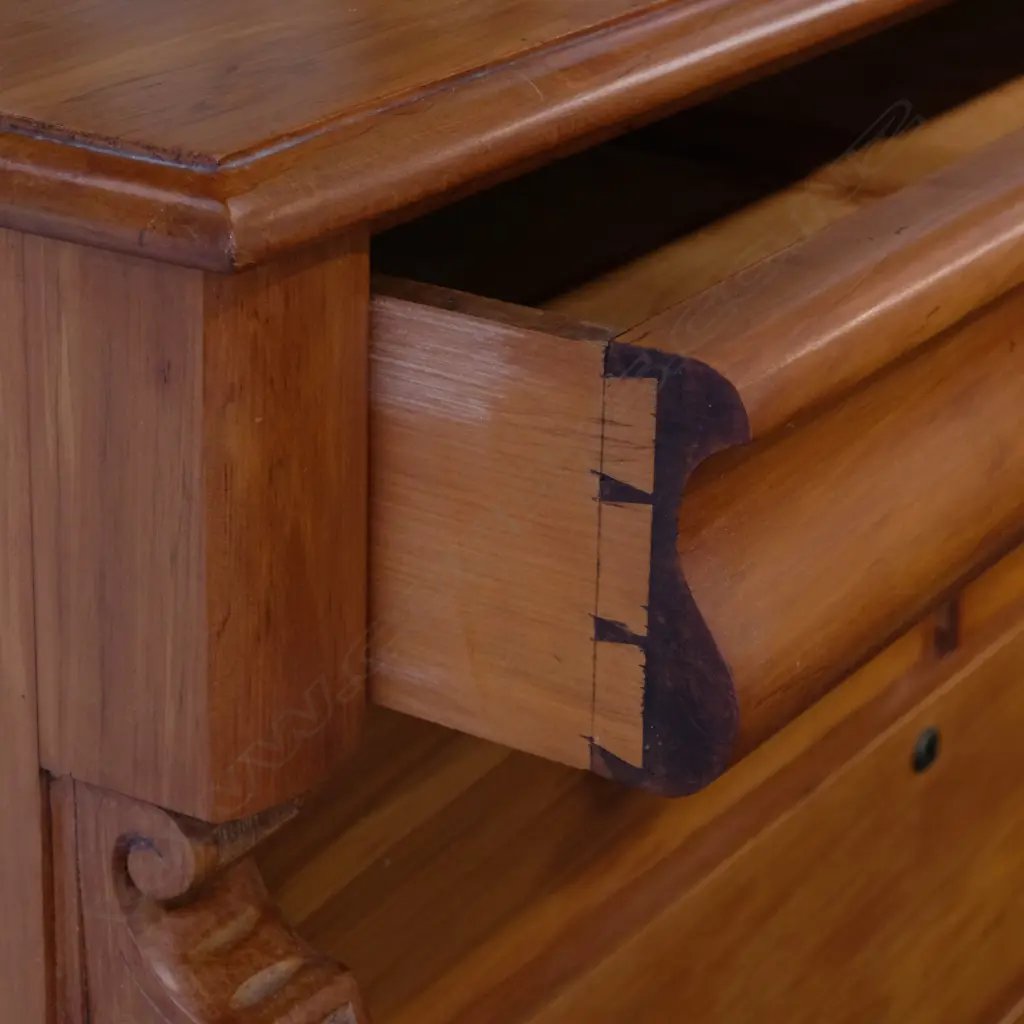 A New Zealand colonial rimu scotch chest Image 1++