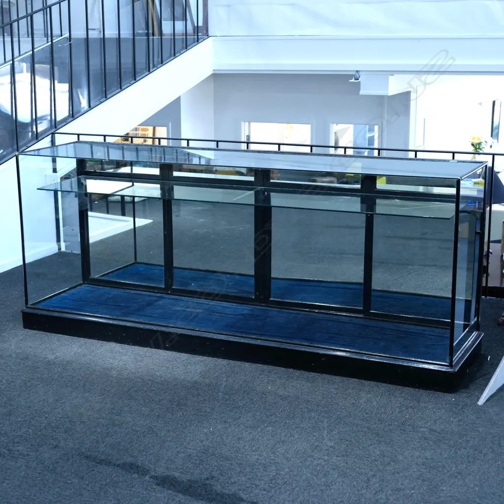 An early 20thC ebonised frame shop display counter Image 1++