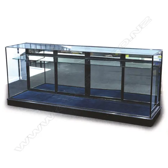 An early 20thC ebonised frame shop display counter