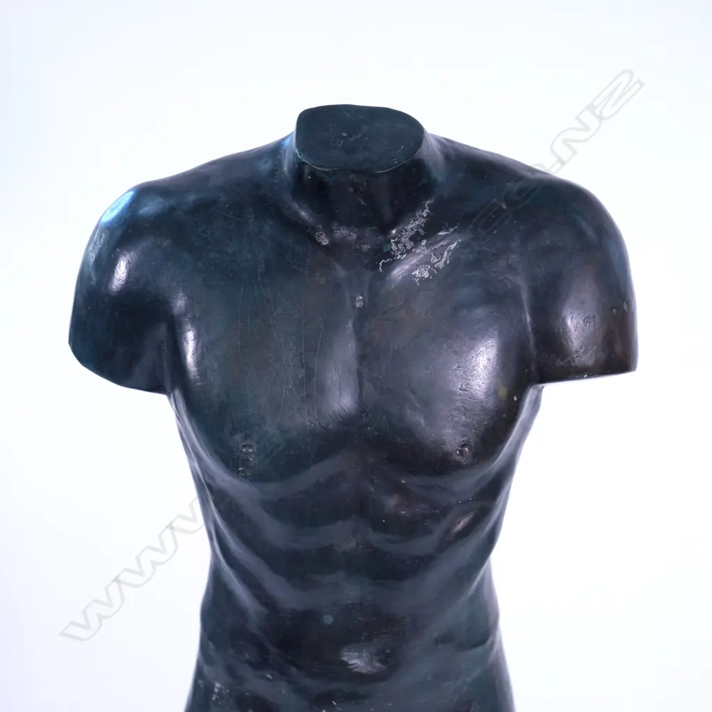 A bronze standing male torso Image 1++
