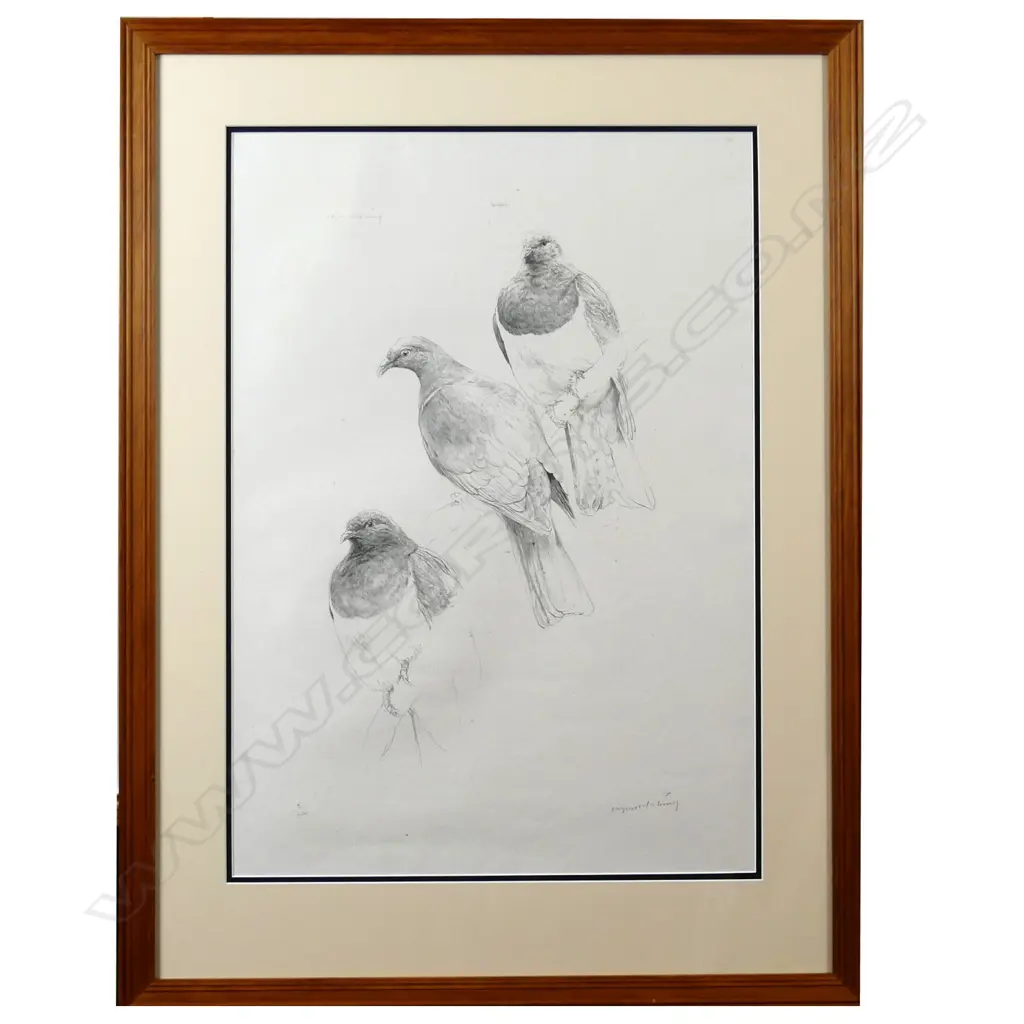 Raymond Ching Image 1++