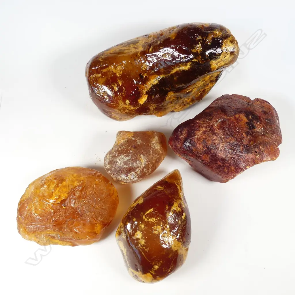 Five assorted pieces of kauri gum Image 1++