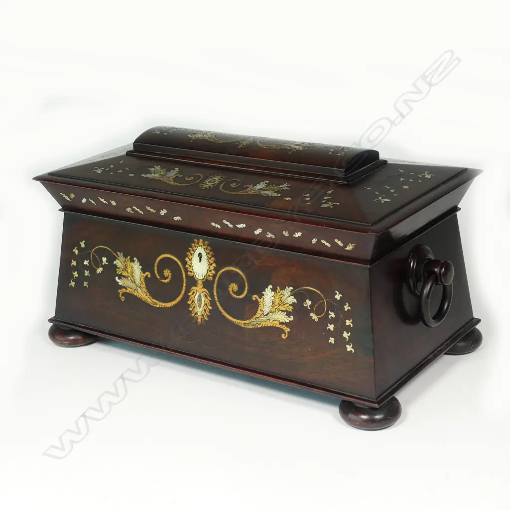 An exceptional Regency rosewood sarcophagus tea caddy Image 1++