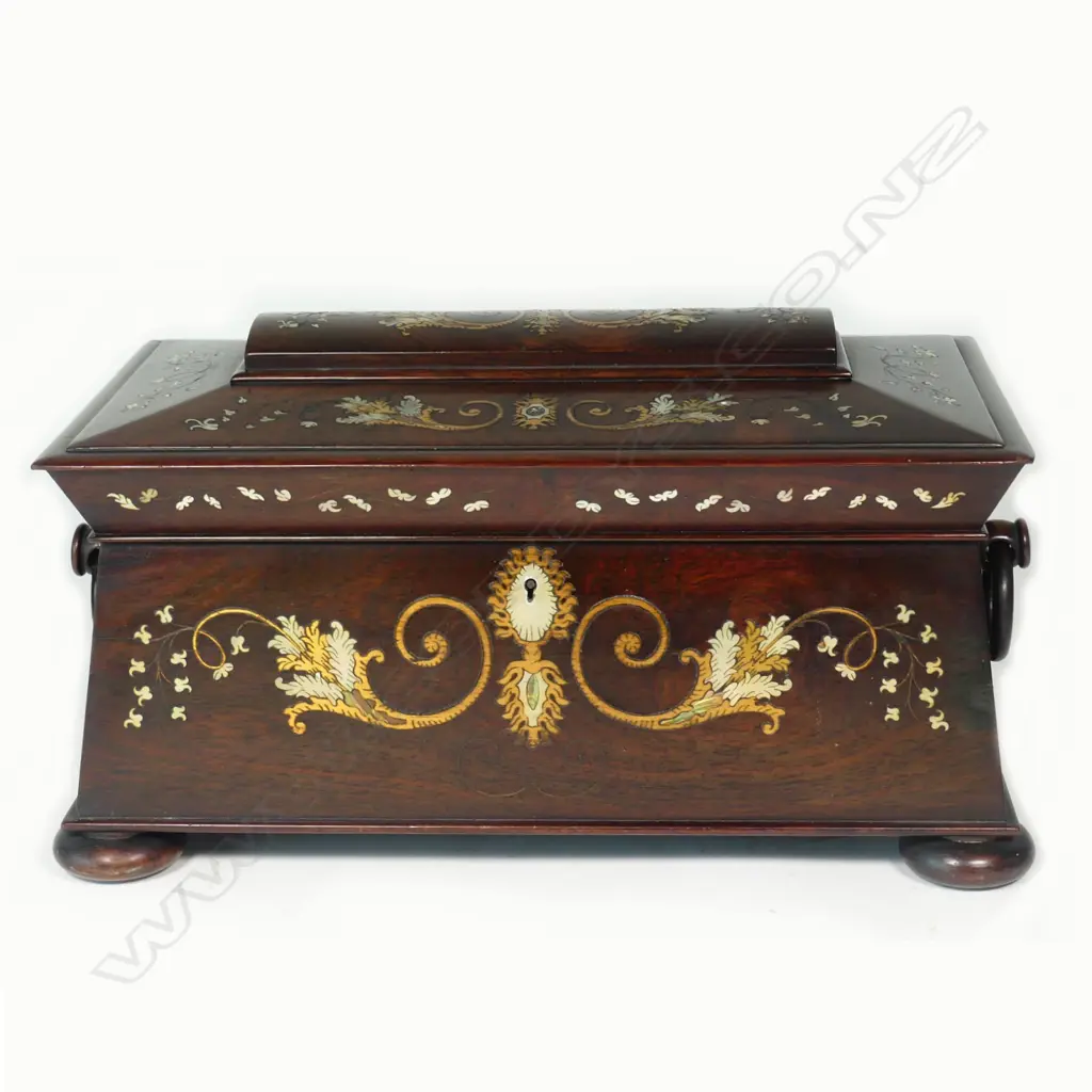 An exceptional Regency rosewood sarcophagus tea caddy Image 1++