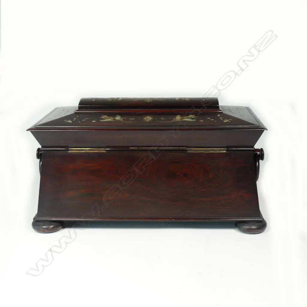 An exceptional Regency rosewood sarcophagus tea caddy Image 1++
