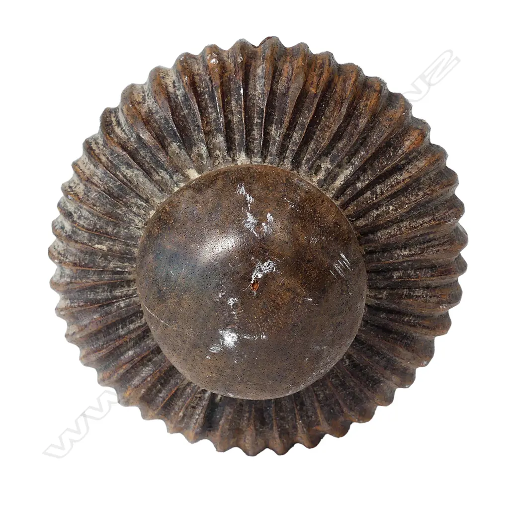 An early 20thC large Fijian ula club Image 1++