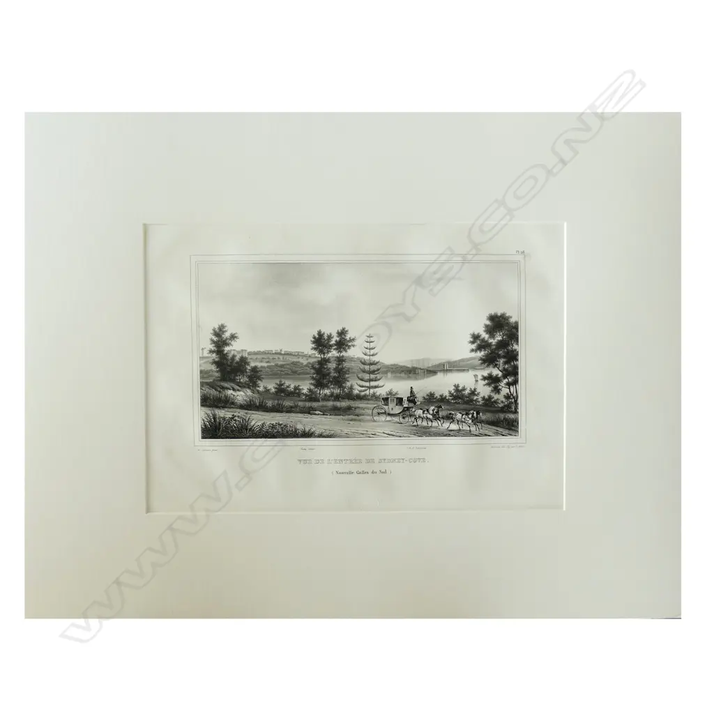 A lithograph from D'Urville's Voyage de L'Astrolabe Image 1++