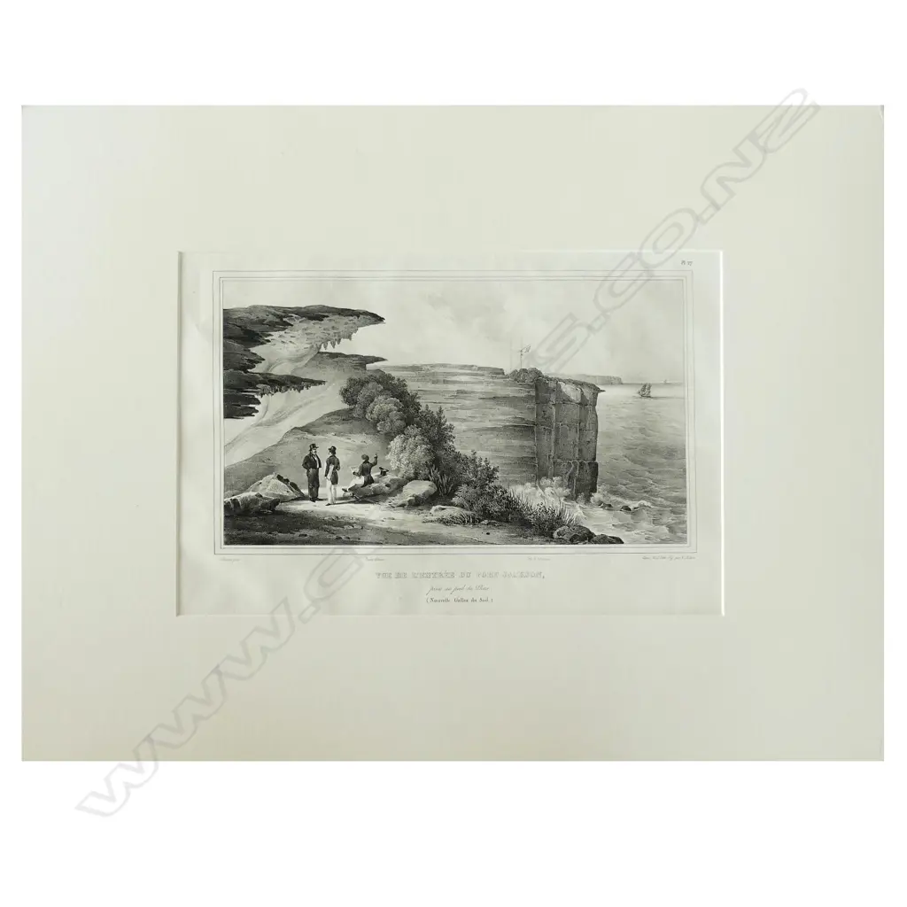 A lithograph from D'Urville's Voyage de L'Astrolabe Image 1++