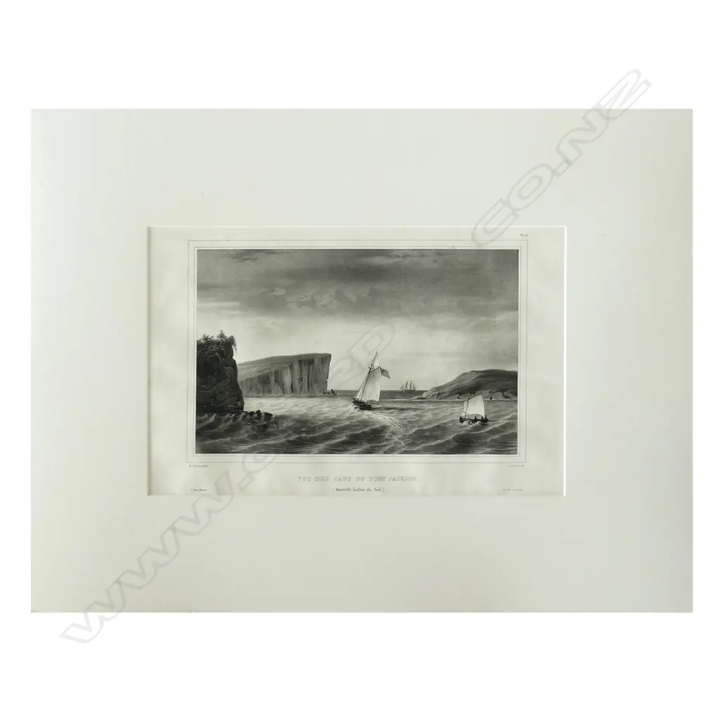 A lithograph from D'Urville's Voyage de L'Astrolabe Image 1++
