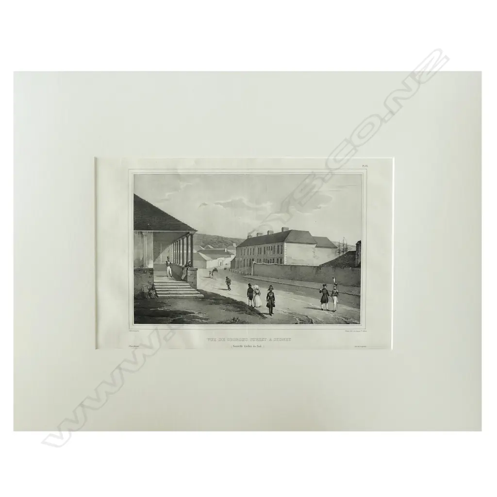 A lithograph from D'Urville's Voyage de L'Astrolabe Image 1++