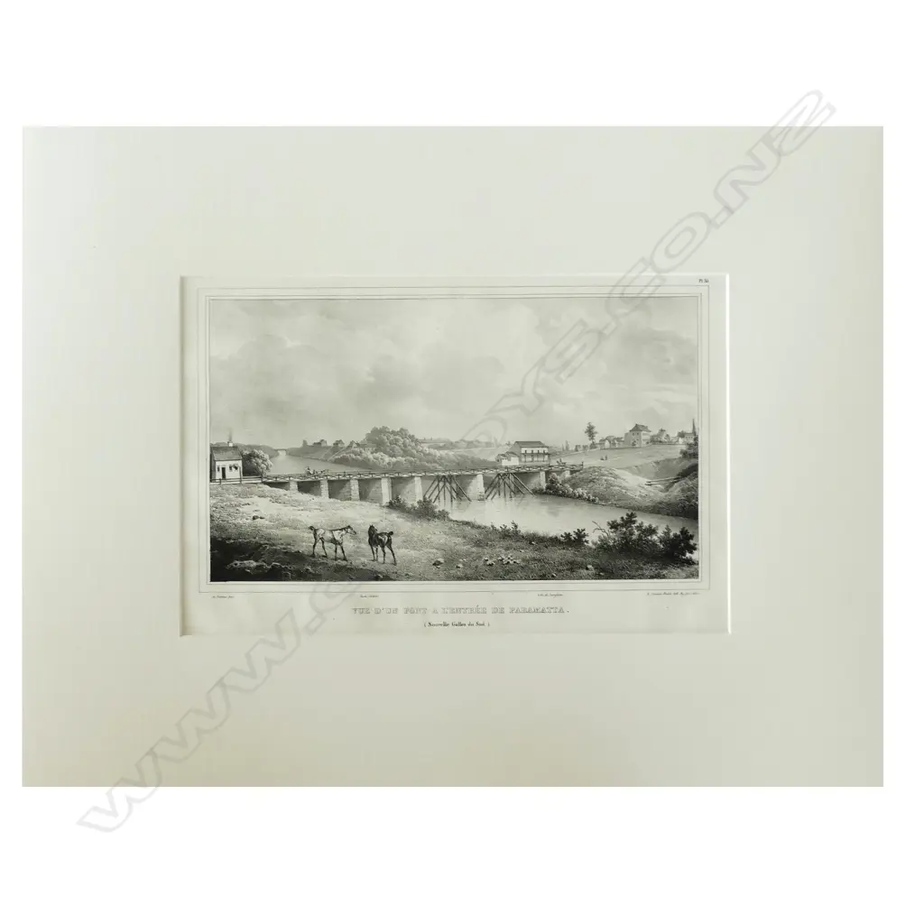 A lithograph from D'Urville's Voyage de L'Astrolabe Image 1++