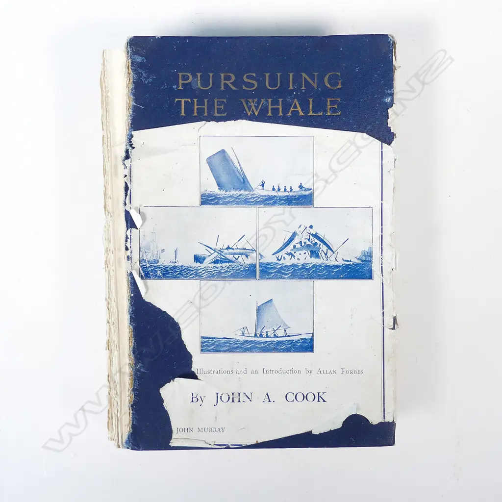 A 20thC scrimshaw sperm whale tooth Image 1++