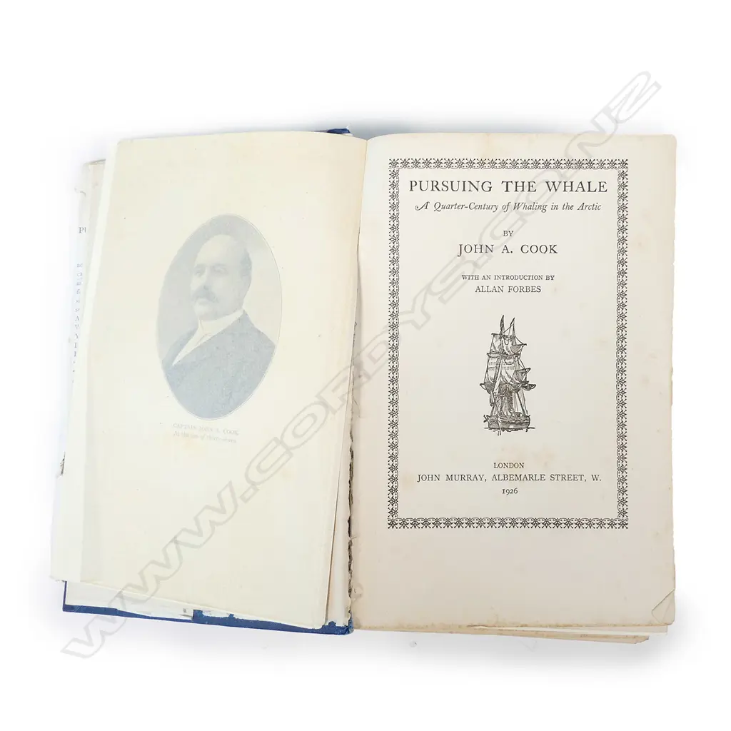 A 20thC scrimshaw sperm whale tooth Image 1++