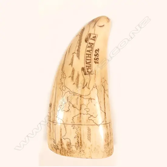 A 20thC scrimshaw sperm whale tooth