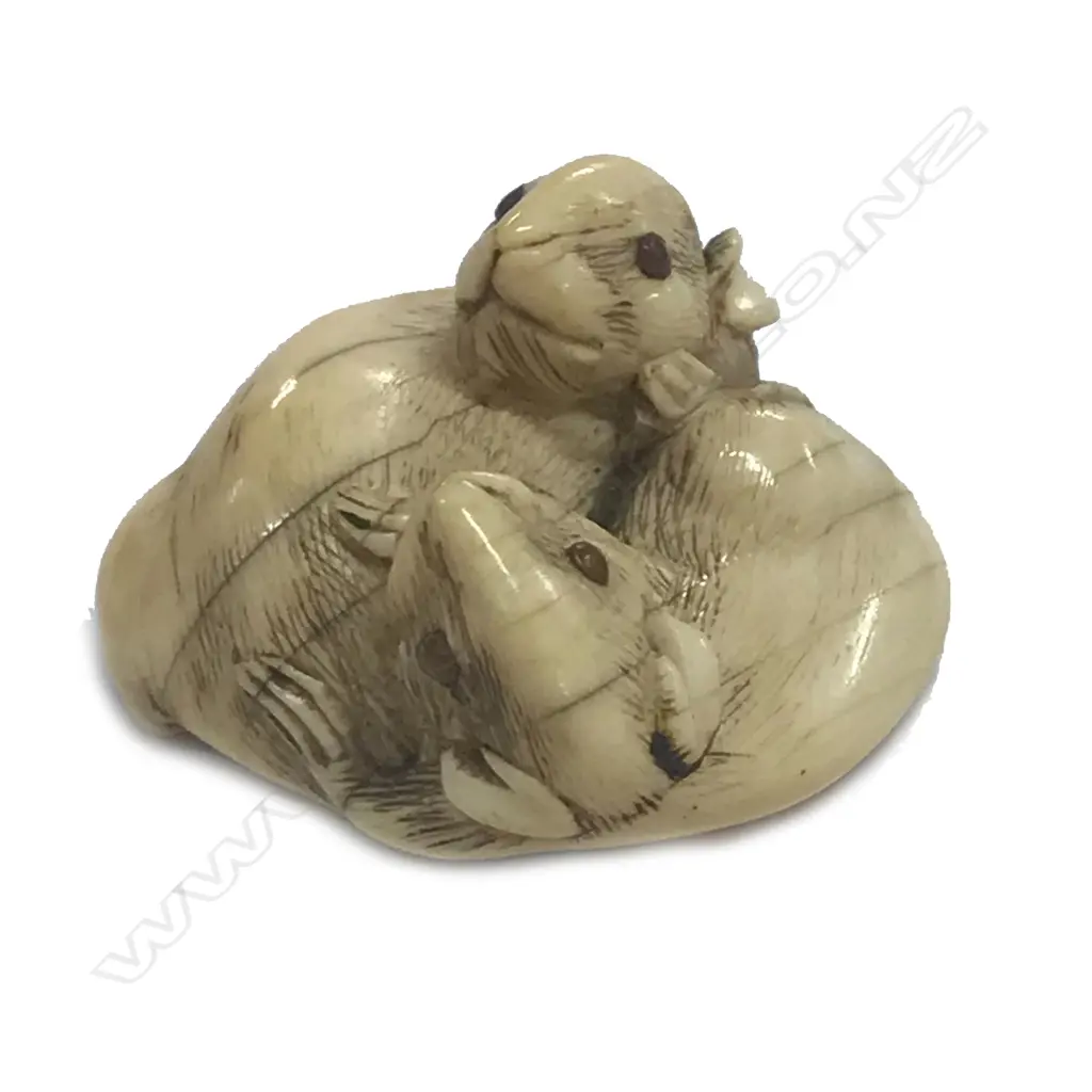 A compactly carved Japanese ivory netsuke of two rats Image 1++