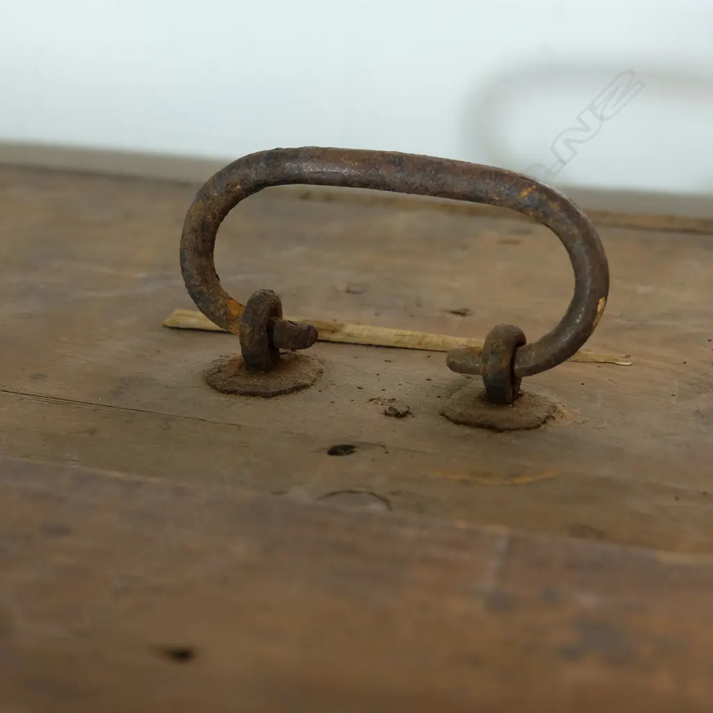 A 19thC European painted armoire Image 1++