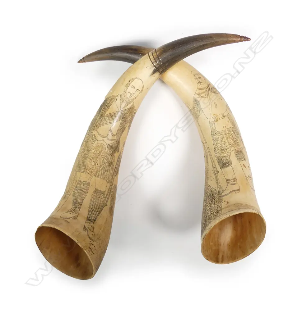 A pair of scrimshaw bullock horns Image 1++