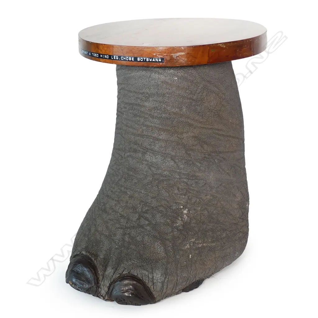 An occasional table fashioned from an elephant foot with fitted wooden top Image 1++
