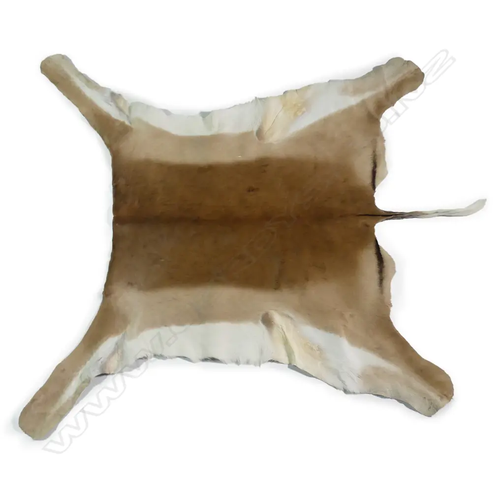 A small impala hide Image 1++