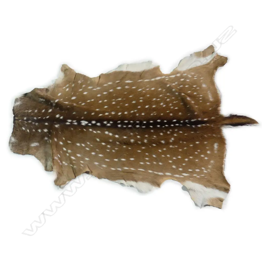 A chital axis hide Image 1++