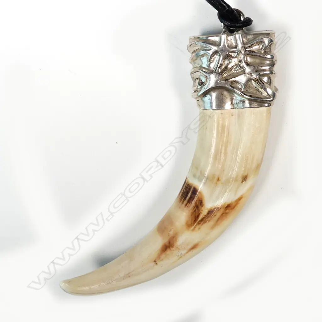 A warthog tusk pendant Image 1++