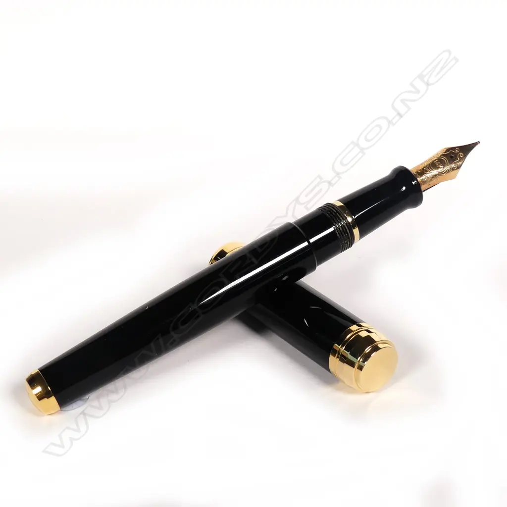 An Italian Delta 'Dolce Vita' fountain pen Image 1++