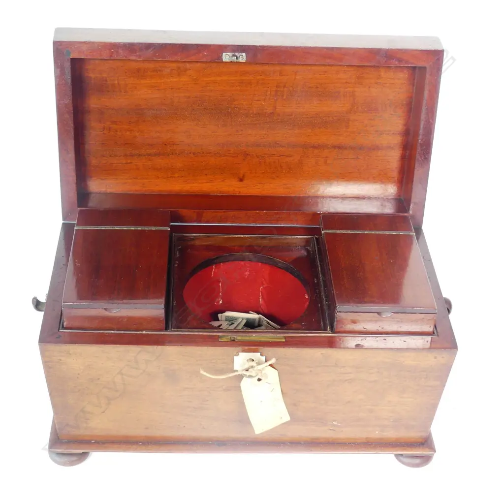 A Regency mahogany sarcophagus tea caddy Image 1++