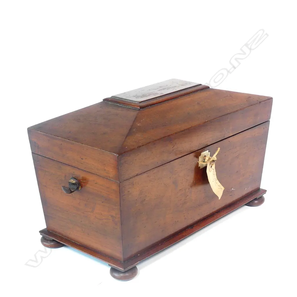 A Regency mahogany sarcophagus tea caddy Image 1++