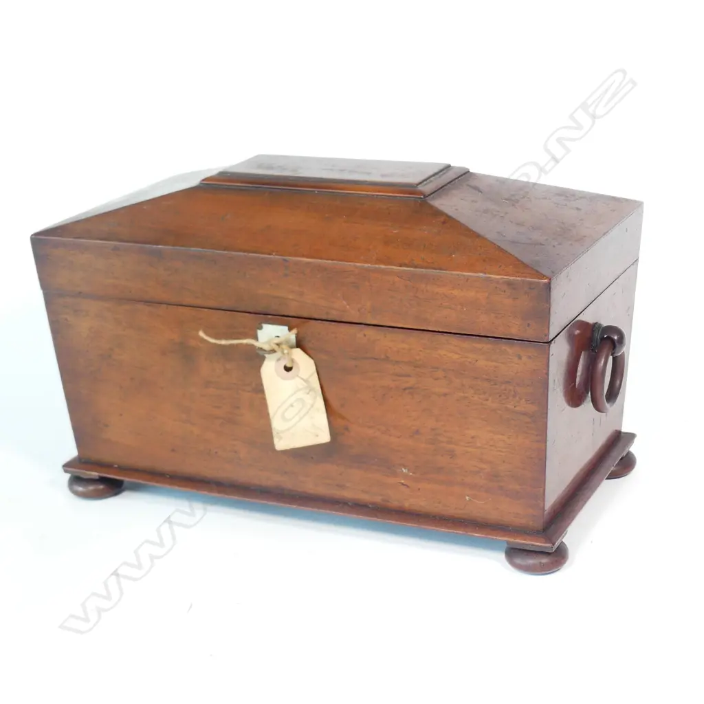 A Regency mahogany sarcophagus tea caddy Image 1++