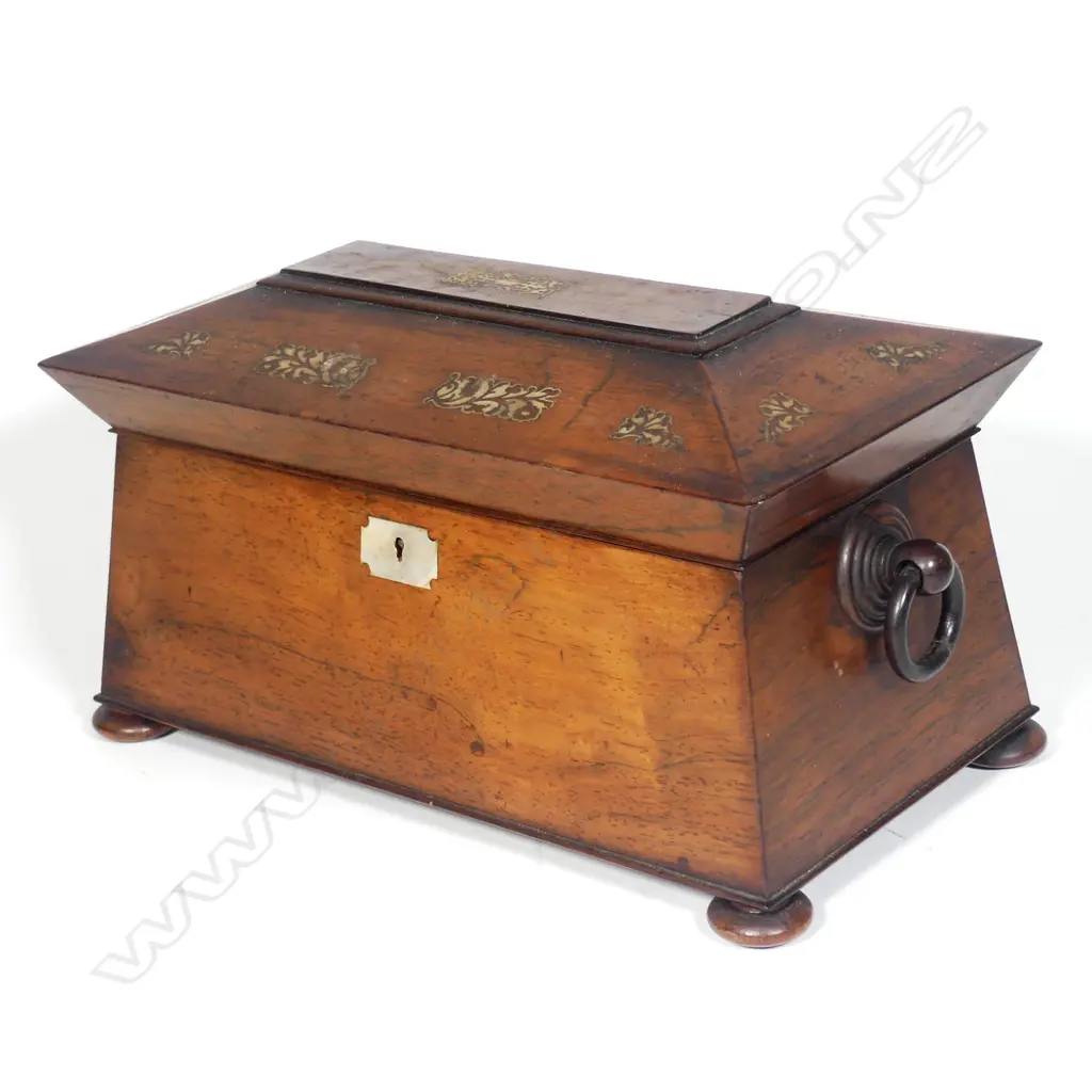 An elegant Regency mahogany sarcophagus tea caddy Image 1++
