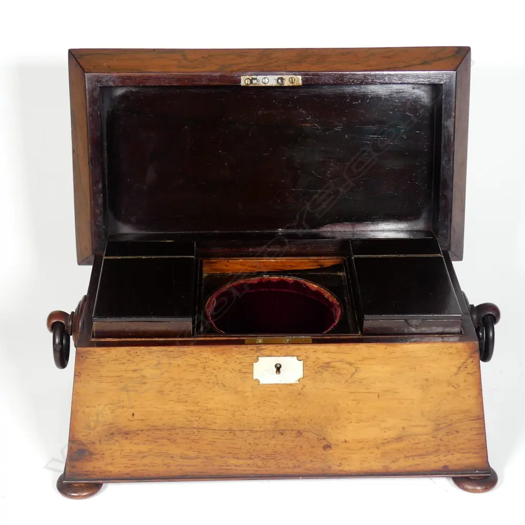 An elegant Regency mahogany sarcophagus tea caddy Image 1++