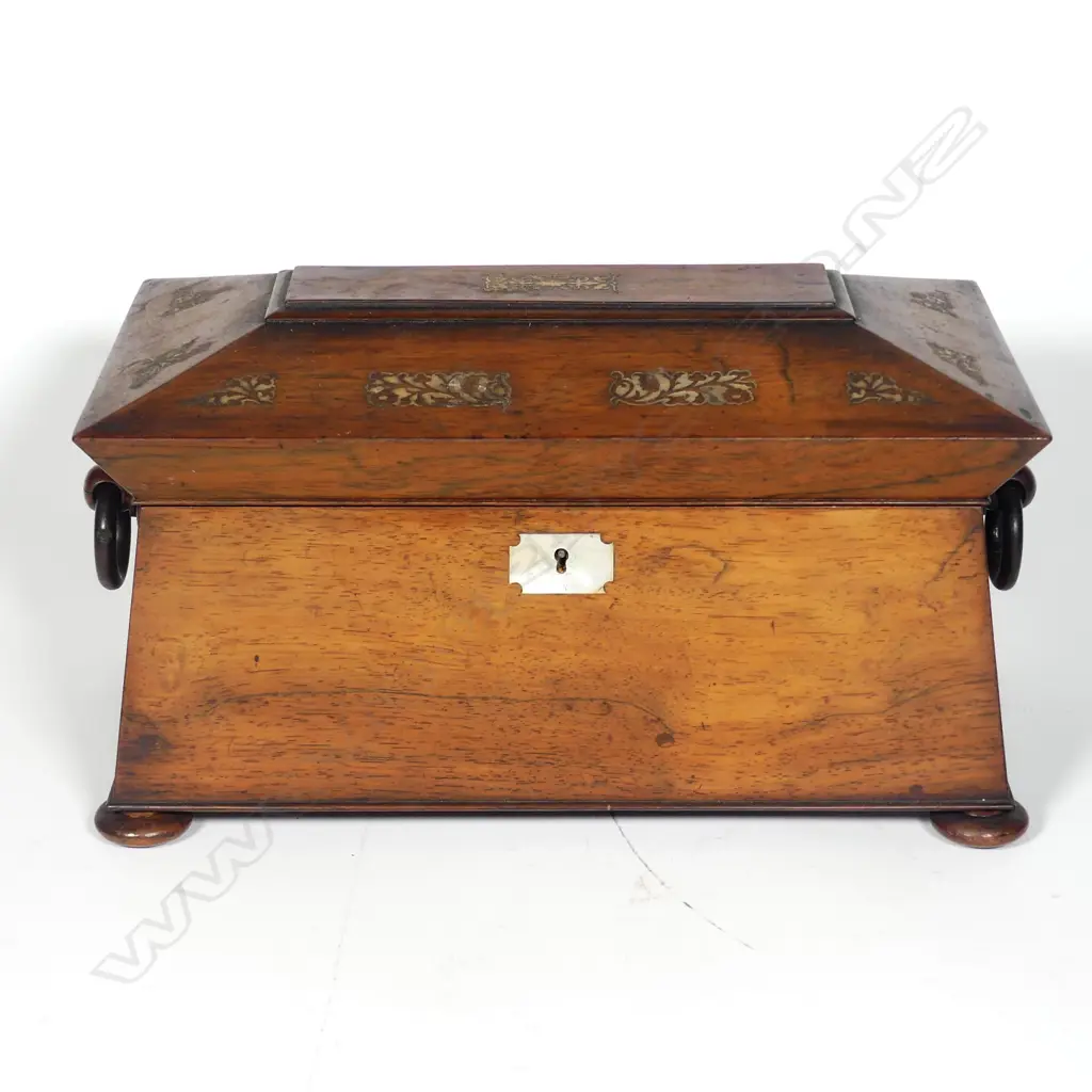 An elegant Regency mahogany sarcophagus tea caddy Image 1++